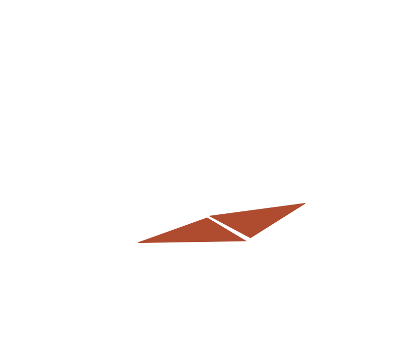 Wasp Final Concept Dark Mode